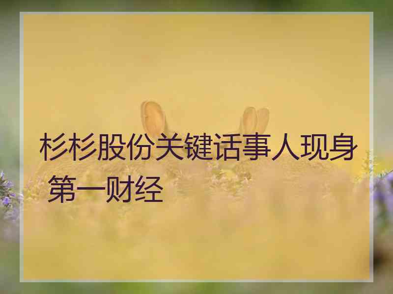 杉杉股份关键话事人现身 第一财经