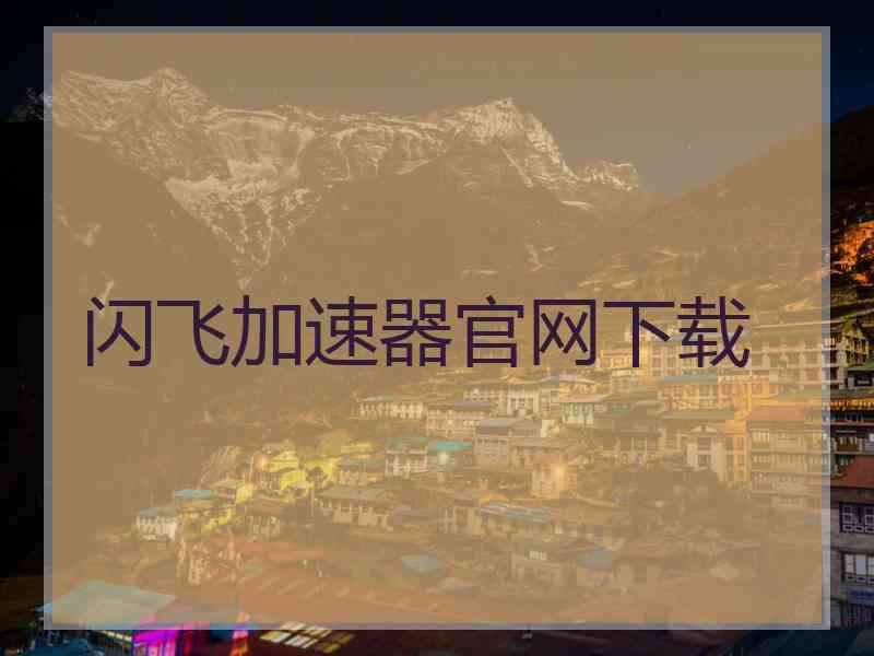 闪飞加速器官网下载