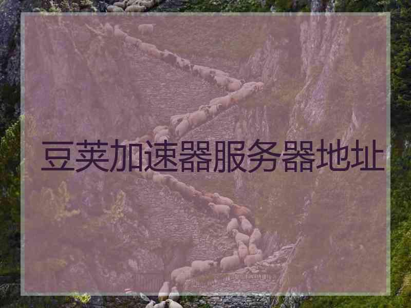 豆荚加速器服务器地址