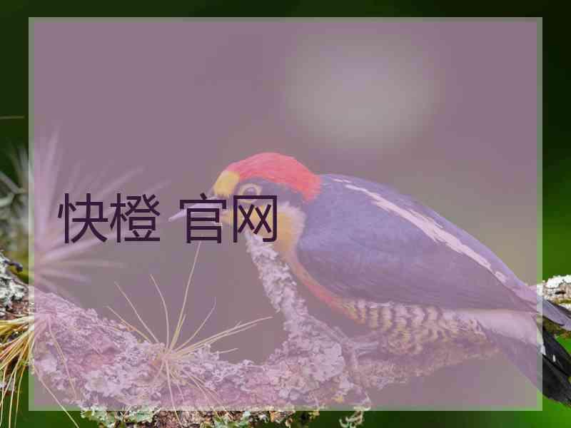 快橙 官网