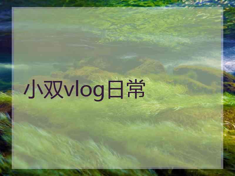 小双vlog日常