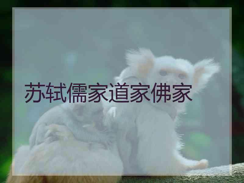 苏轼儒家道家佛家