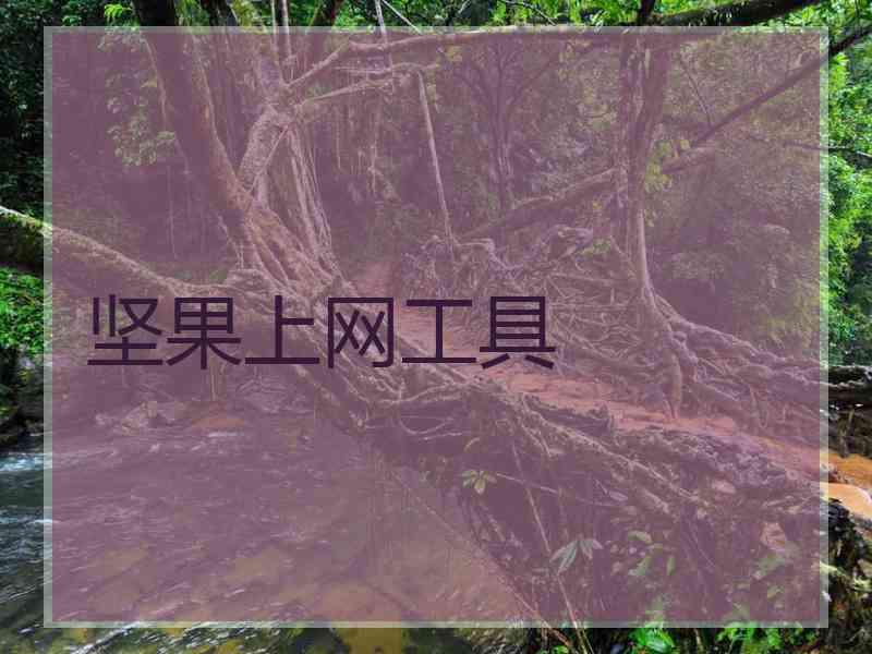坚果上网工具