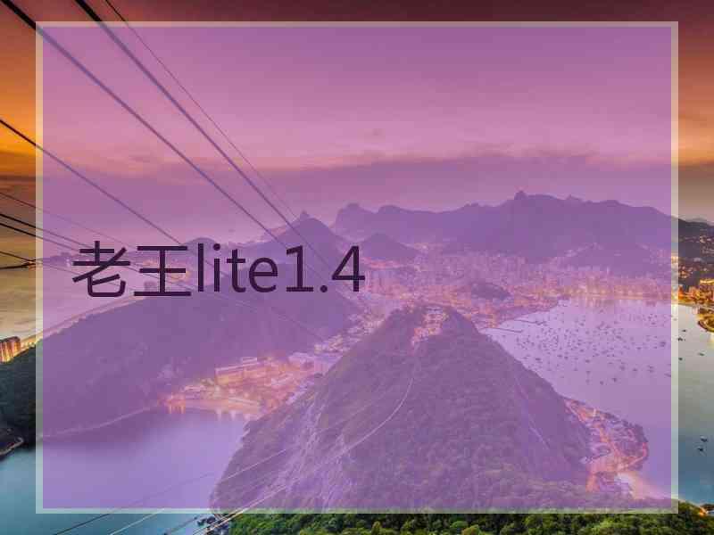 老王lite1.4