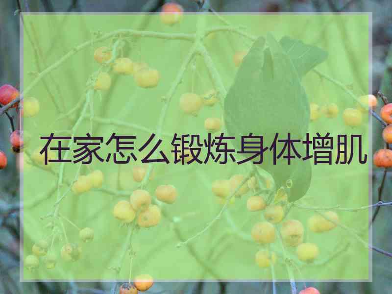 在家怎么锻炼身体增肌