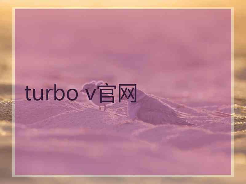 turbo v官网