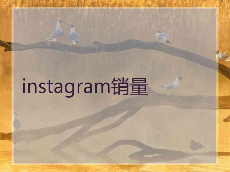 instagram销量