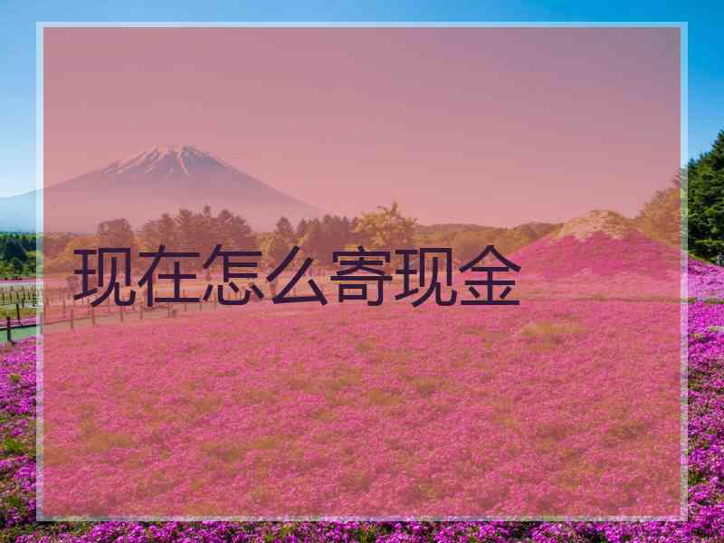 现在怎么寄现金