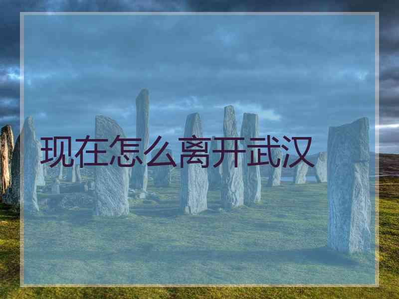 现在怎么离开武汉