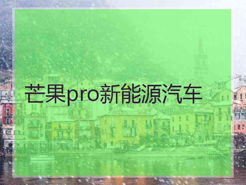 芒果pro新能源汽车