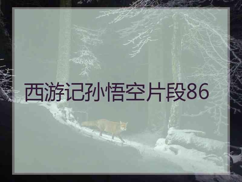 西游记孙悟空片段86