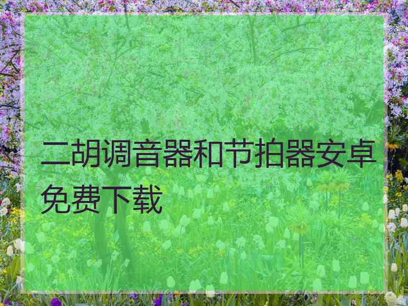 二胡调音器和节拍器安卓免费下载