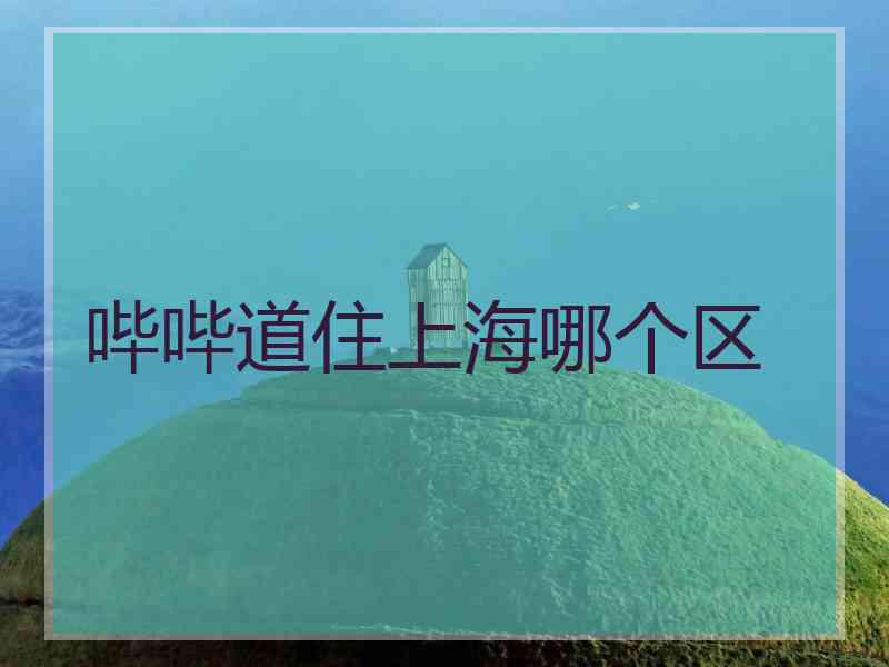 哔哔道住上海哪个区