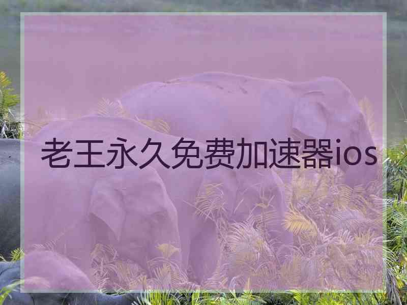 老王永久免费加速器ios