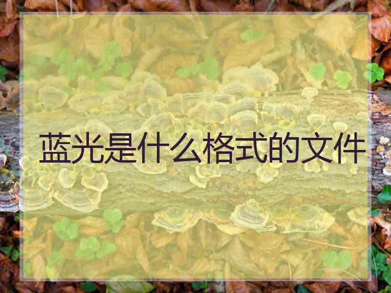 蓝光是什么格式的文件