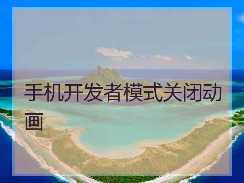 手机开发者模式关闭动画