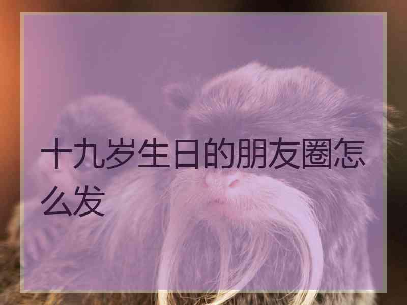 十九岁生日的朋友圈怎么发