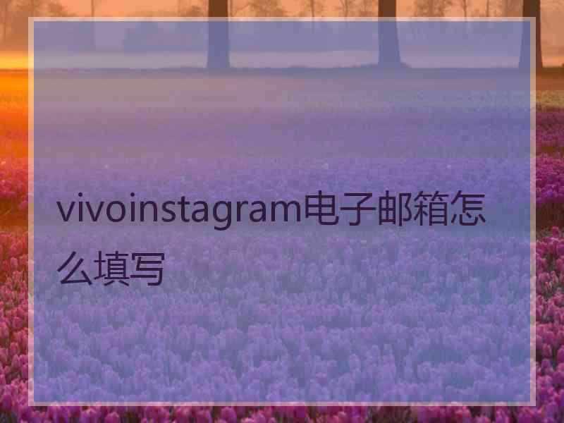 vivoinstagram电子邮箱怎么填写