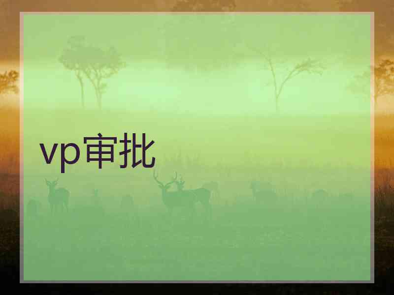 vp审批
