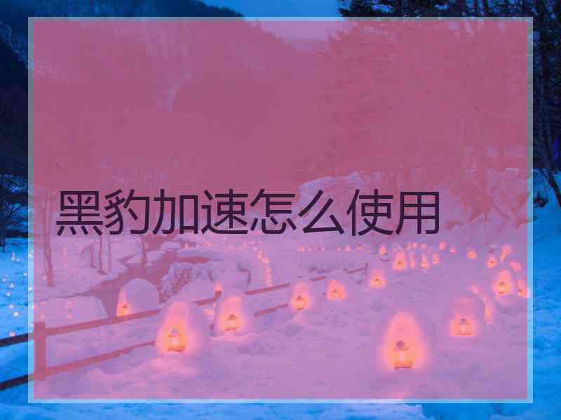黑豹加速怎么使用