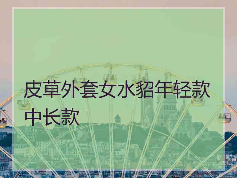 皮草外套女水貂年轻款中长款