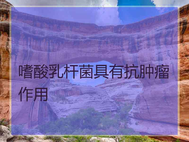 嗜酸乳杆菌具有抗肿瘤作用