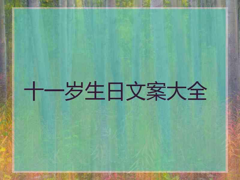 十一岁生日文案大全