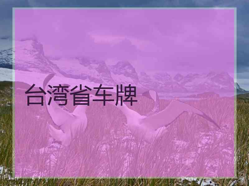 台湾省车牌