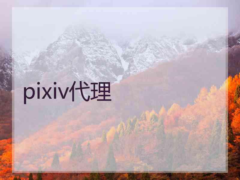 pixiv代理