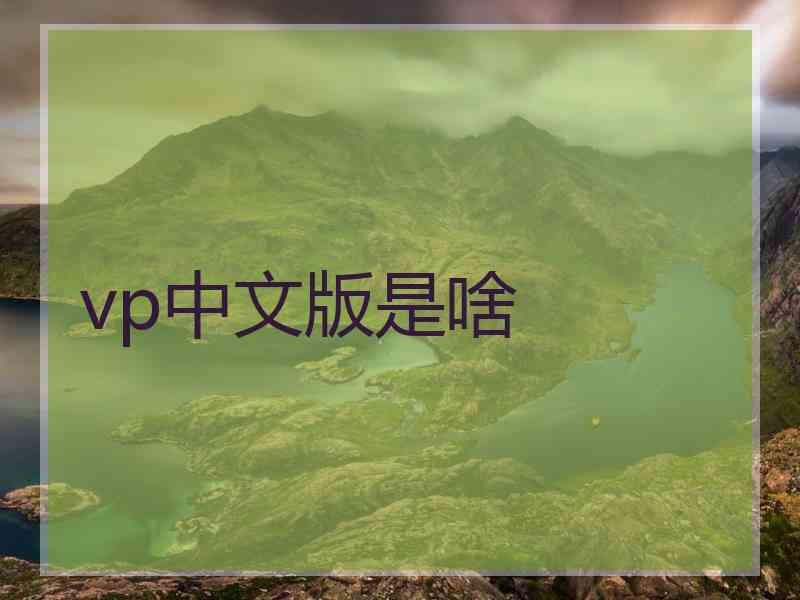 vp中文版是啥