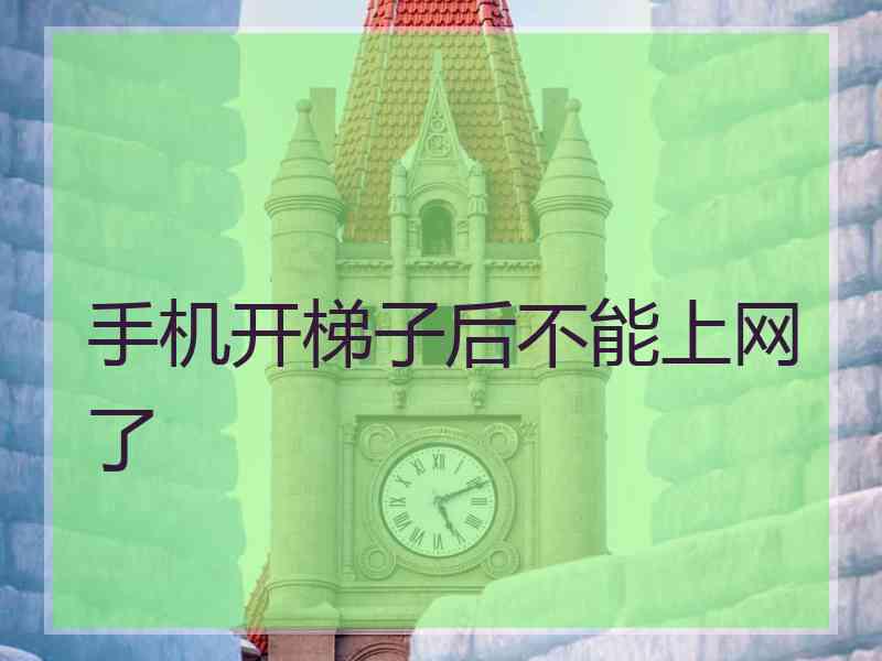 手机开梯子后不能上网了