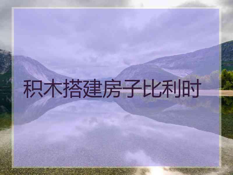 积木搭建房子比利时