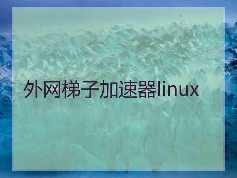 外网梯子加速器linux