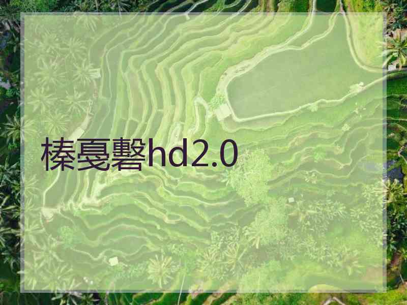 榛戞礊hd2.0
