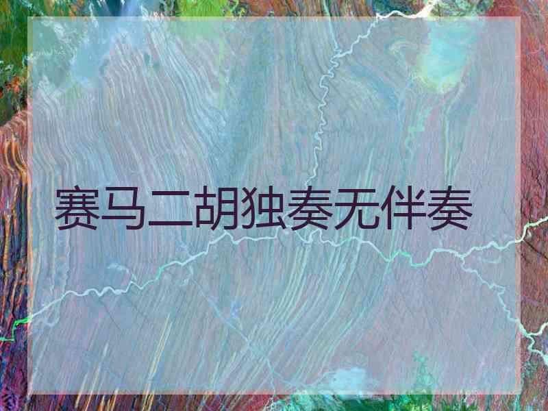 赛马二胡独奏无伴奏