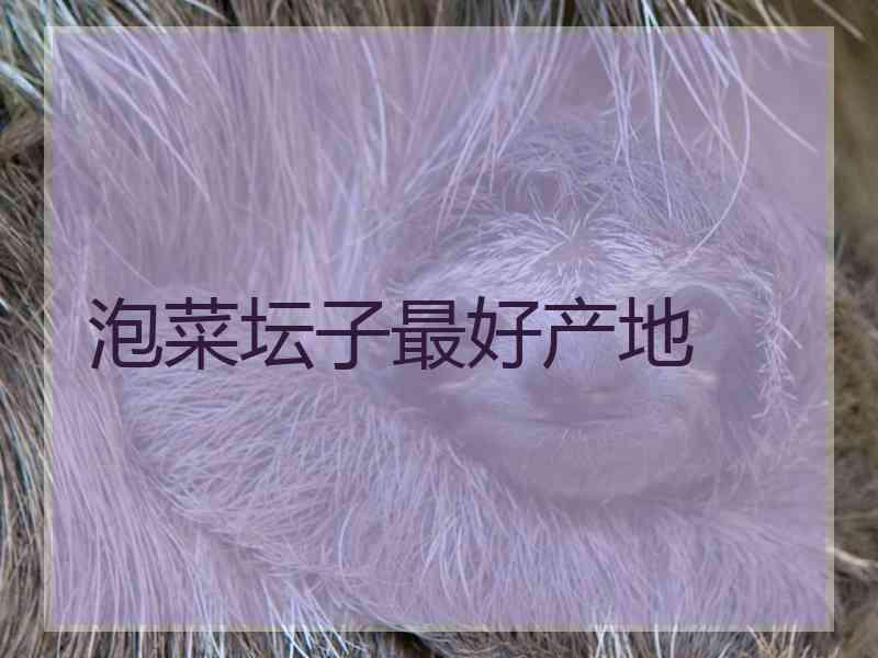 泡菜坛子最好产地