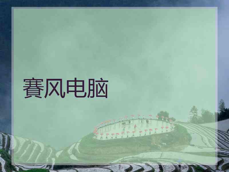 賽风电脑