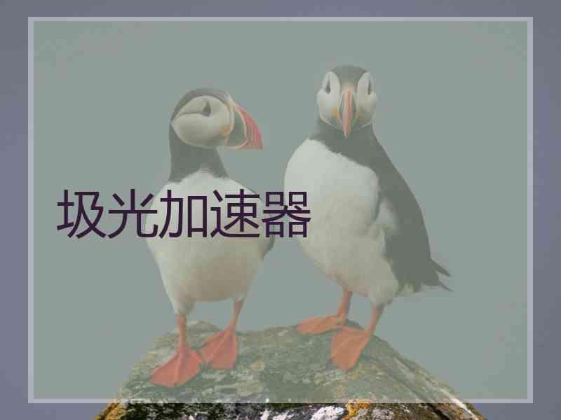 圾光加速器