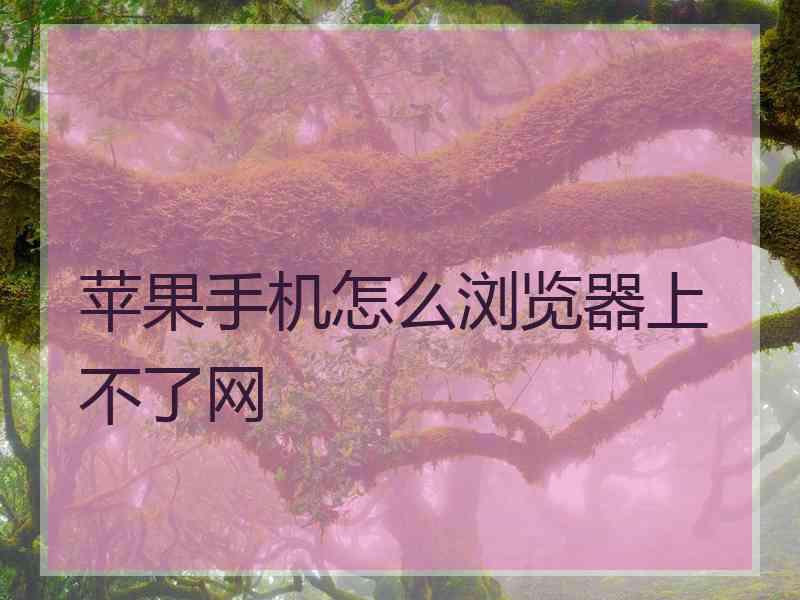 苹果手机怎么浏览器上不了网