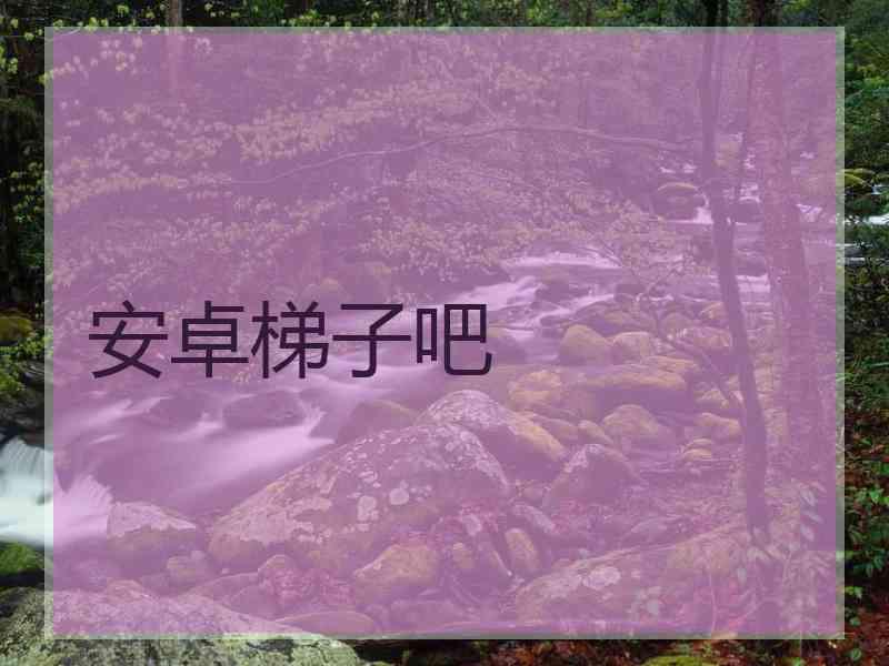 安卓梯子吧