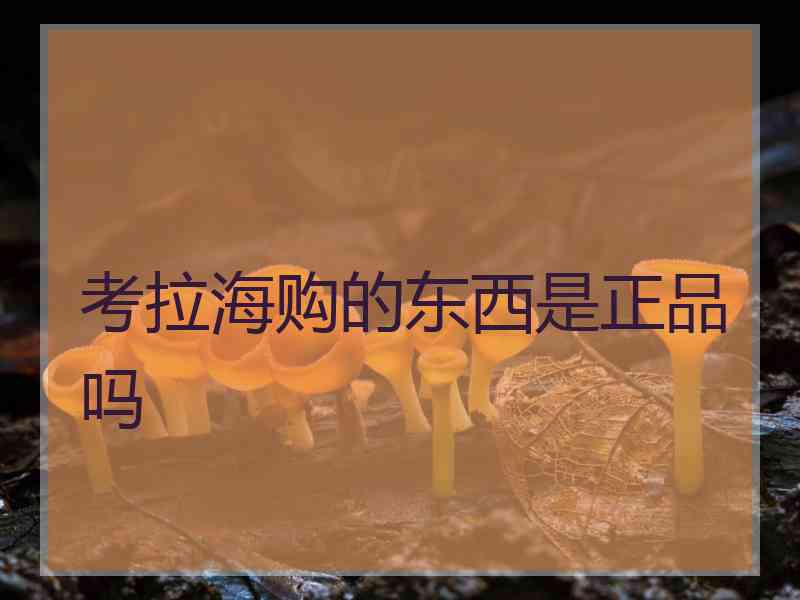 考拉海购的东西是正品吗