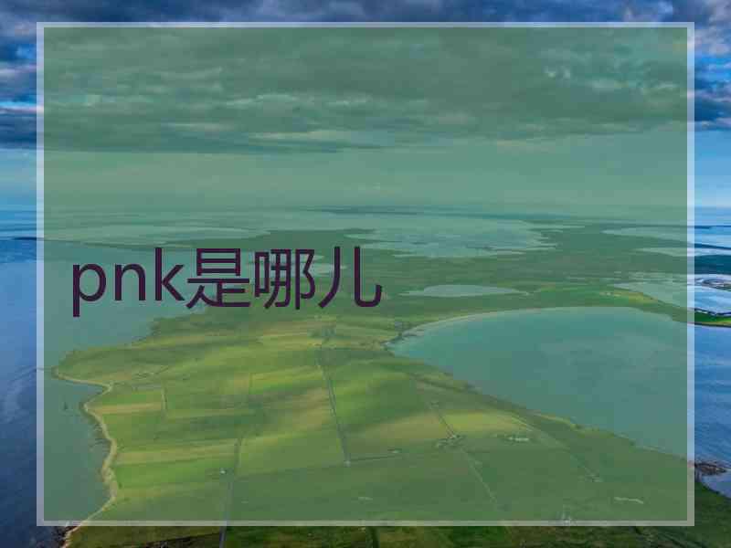 pnk是哪儿