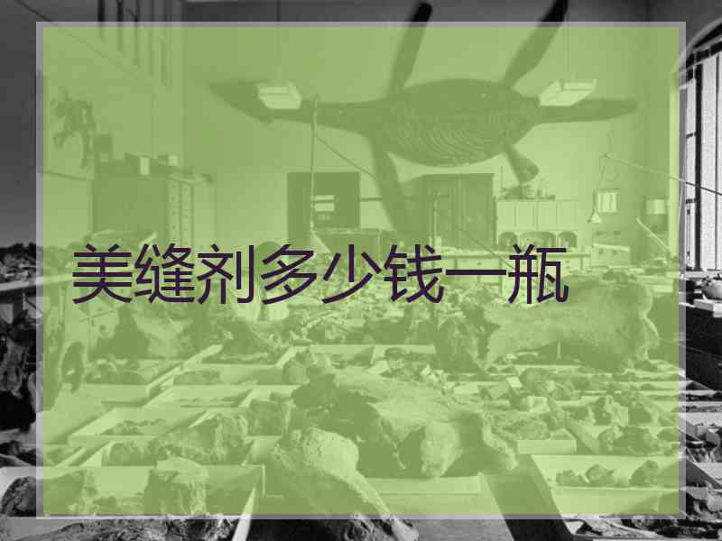 美缝剂多少钱一瓶