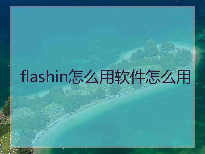 flashin怎么用软件怎么用