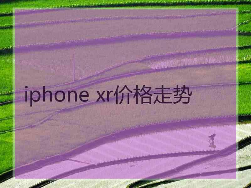 iphone xr价格走势