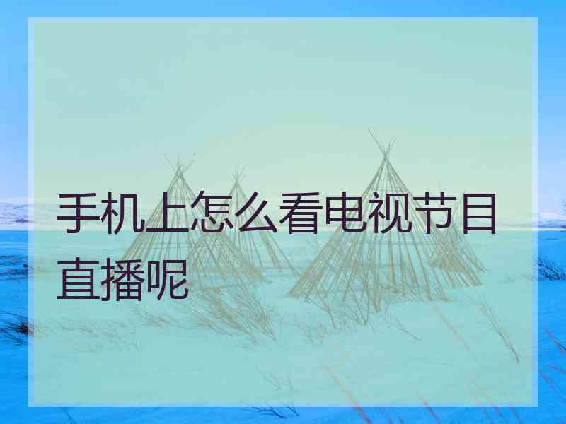 手机上怎么看电视节目直播呢