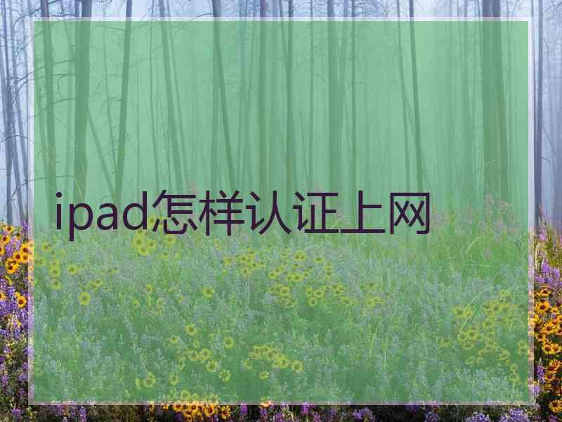 ipad怎样认证上网