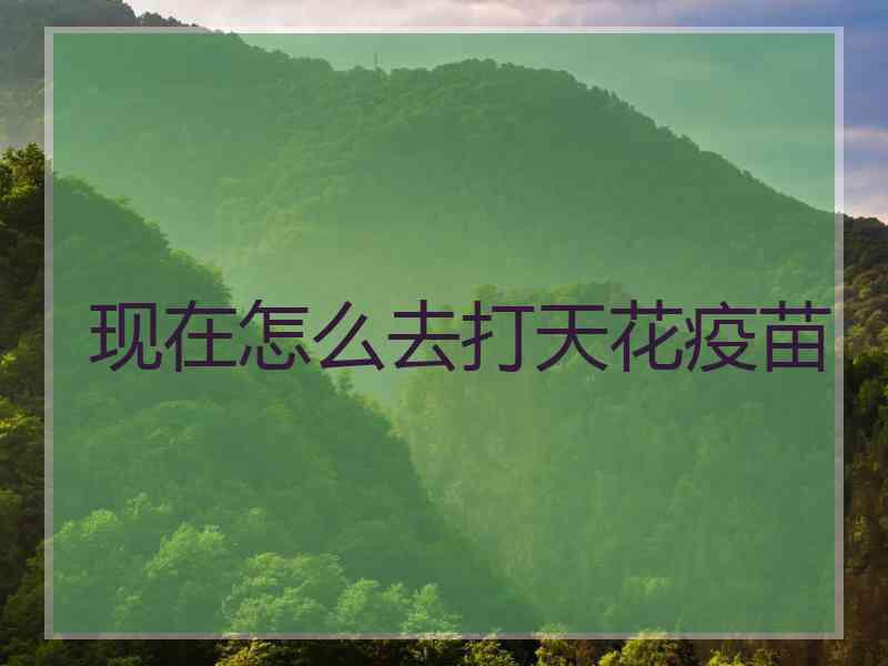 现在怎么去打天花疫苗
