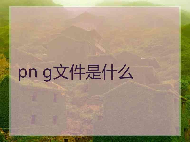 pn g文件是什么