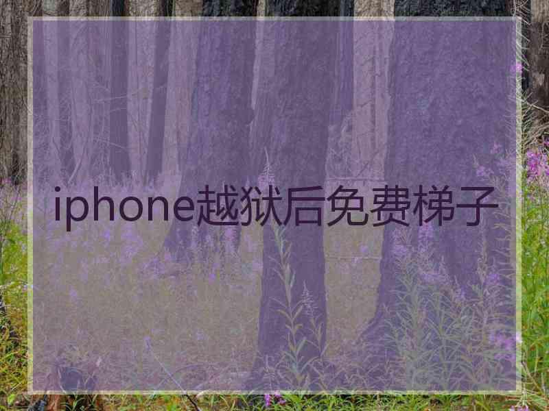iphone越狱后免费梯子